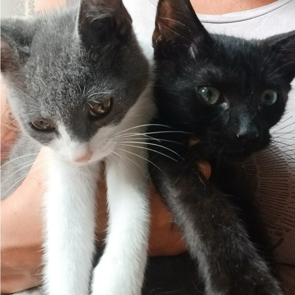 Meet your Posher, JeanMarie - Picture 6 of 10